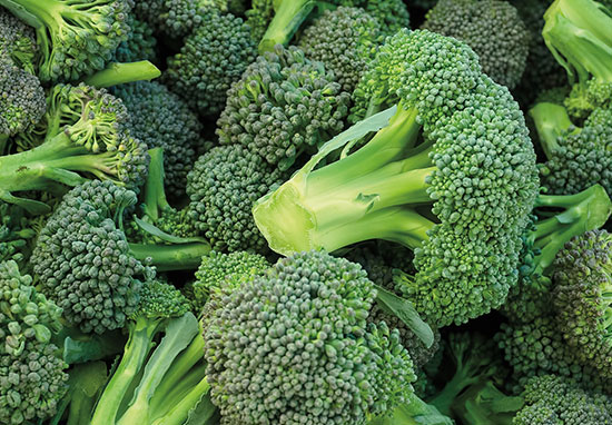 10174-6_Spring_Wellness_Broccoli_550x382.jpg