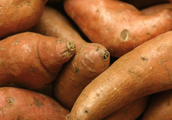 10174-6_Spring_Wellness_SweetPotato_550x382.jpg