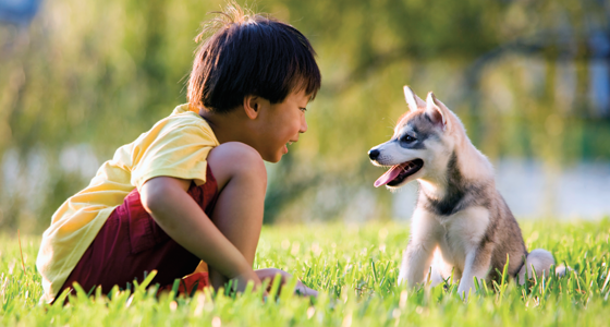 young-boy-with-puppy-560x300.png
