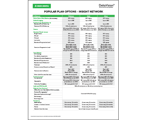 sales sheet overview of popular plan options with Delta Vision flyer 