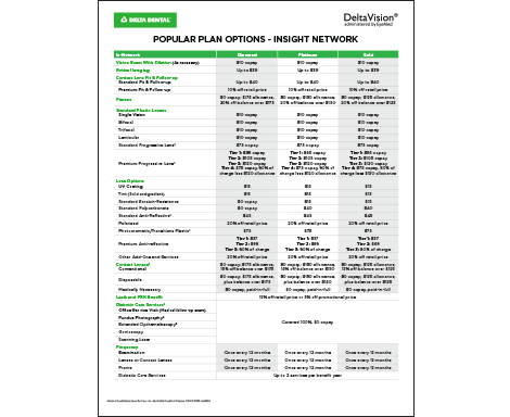 sales sheet overview of popular plan options with Delta Vision flyer 