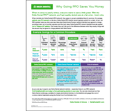 the reasons a PPO network dentist saves you the most money flyer 