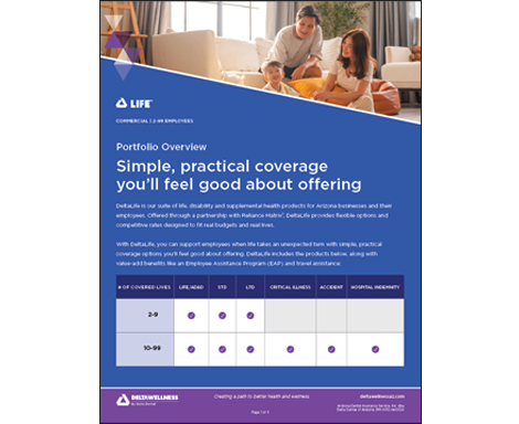 DeltaLife All Products Overview Informational Flyer for Employers