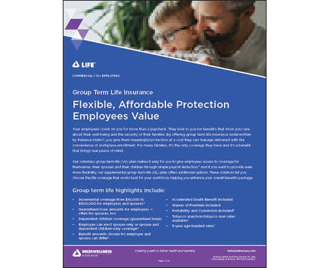 DeltaLife Group Term Life Insurance Informational Flyer for Employers