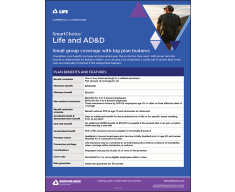DeltaLife SmartChoice Life and AD&D Informational Flyer for Employers
