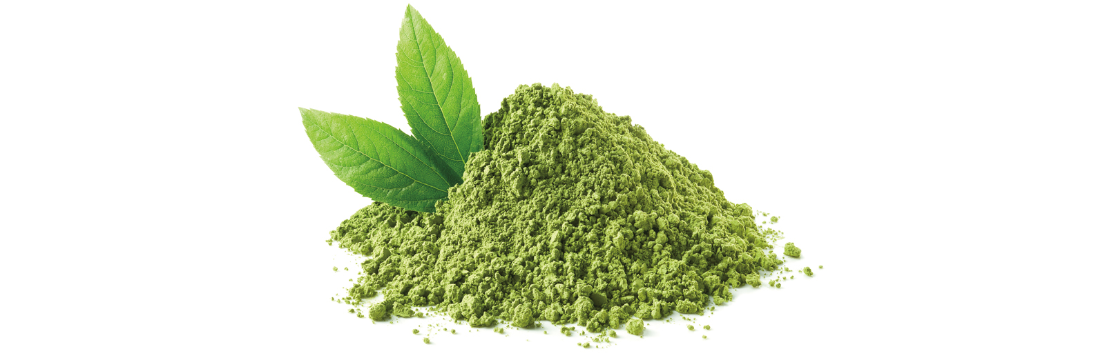 matcha-powder-1600x522.jpg