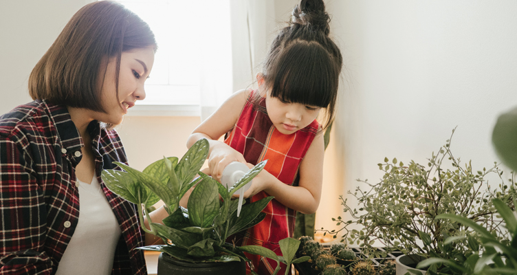 woman-potting-plant-752x400.jpg